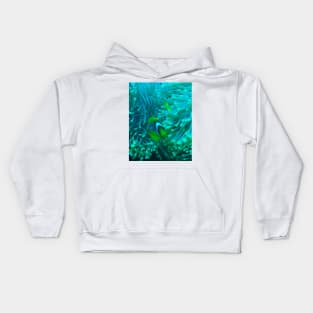 Clownfish Kids Hoodie